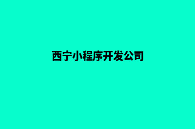 西宁小程序制作排名(西宁小程序开发公司)