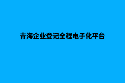 西宁企业网页改版多少钱(青海企业登记全程电子化平台)