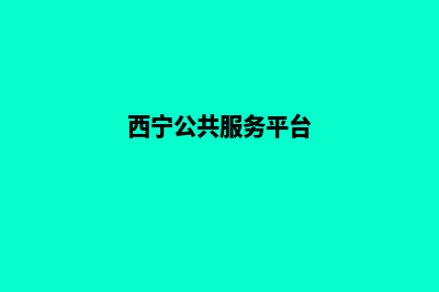 西宁网站重做公司(西宁公共服务平台)