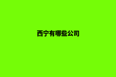 西宁哪家公司制作网站(西宁有哪些公司)