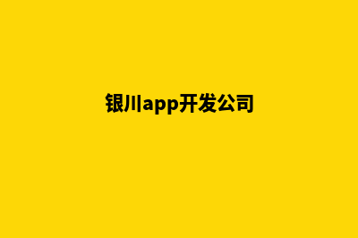 银川app开发(银川app开发公司)