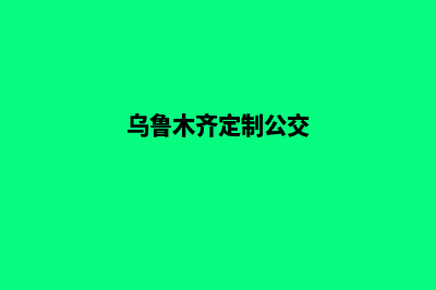 乌鲁木齐定制app公司(乌鲁木齐定制公交)