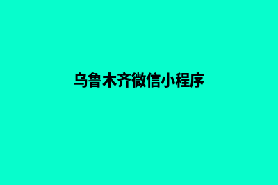 乌鲁木齐app制作企业(乌鲁木齐微信小程序)