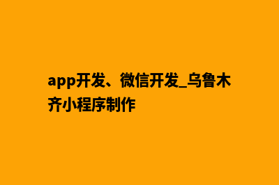 乌鲁木齐app制作公司(app开发、微信开发 乌鲁木齐小程序制作)