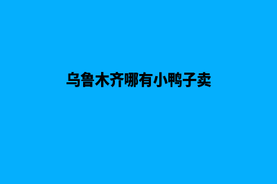 乌鲁木齐哪有小程序设计(乌鲁木齐哪有小鸭子卖)