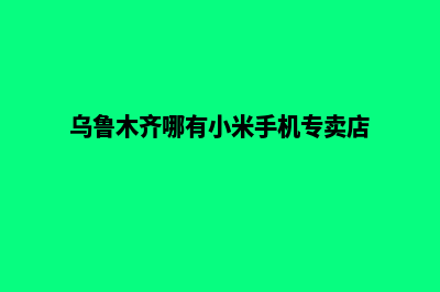 乌鲁木齐哪有小程序定制(乌鲁木齐哪有小米手机专卖店)