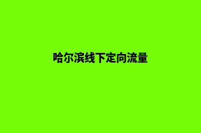 哈尔滨app定制流程(哈尔滨线下定向流量)