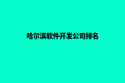 哈尔滨app开发机构(哈尔滨软件开发公司排名)