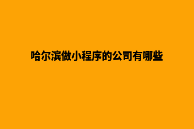 哈尔滨专业小程序定制(哈尔滨做小程序的公司有哪些)