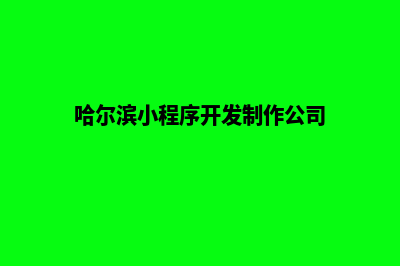 哈尔滨小程序开发搭建(哈尔滨小程序开发制作公司)