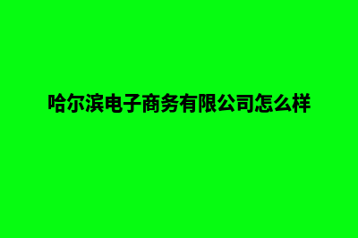 哈尔滨做电商网站费用(哈尔滨电子商务有限公司怎么样)