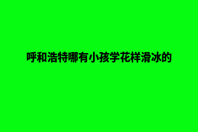 呼和浩特哪有小程序定制(呼和浩特哪有小孩学花样滑冰的)