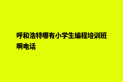 呼和浩特哪有小程序制作(呼和浩特哪有小学生编程培训班啊电话)