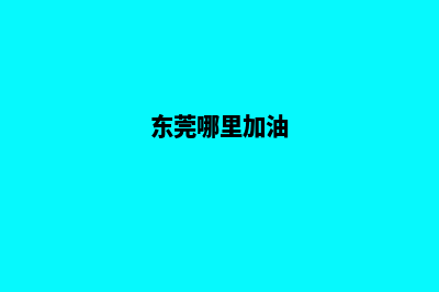 东莞加油系统开发公司(东莞哪里加油)