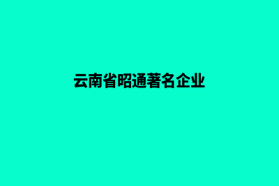 昭通企业展示网站建设(云南省昭通著名企业)