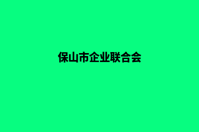 保山企业网站设计价格(保山市企业联合会)