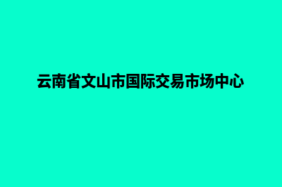 文山外贸网站开发收费(云南省文山市国际交易市场中心)