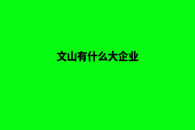 文山在哪家公司设计网站好(文山有什么大企业)