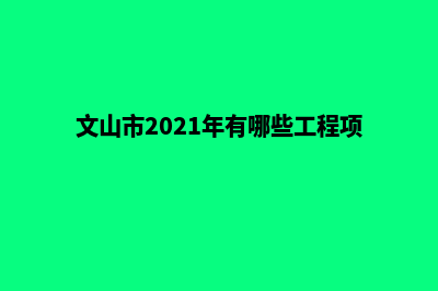 文山专业建网站公司(文山市2021年有哪些工程项目)