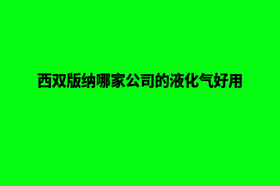 西双版纳哪家公司设计网站(西双版纳哪家公司的液化气好用)