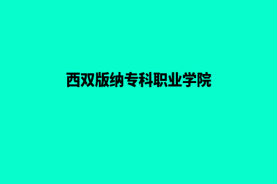 西双版纳专业网站设计报价(西双版纳专科职业学院)