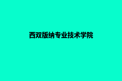 西双版纳专业网站设计多少钱(西双版纳专业技术学院)