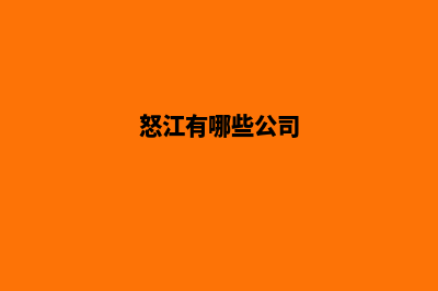 怒江哪家公司开发网站(怒江有哪些公司)