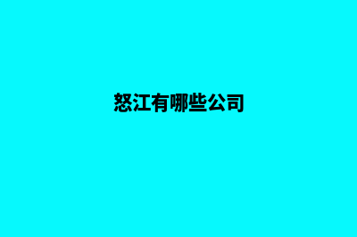 怒江企业网站开发公司哪家好(怒江有哪些公司)