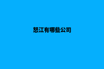 怒江企业网站开发流程(怒江有哪些公司)