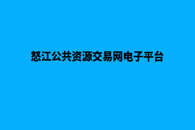 怒江网页重做公司(怒江公共资源交易网电子平台)