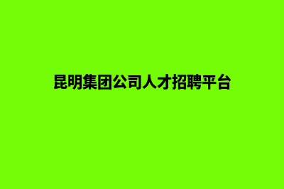 昆明集团网站设计方案(昆明集团公司人才招聘平台)