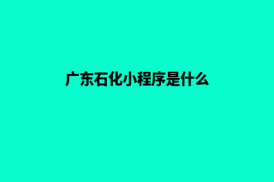 广东石化小程序加油(广东石化小程序是什么)