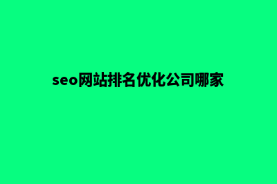 seo网站排名优化价格(seo网站排名优化公司哪家)