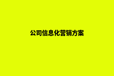 公司信息化营销网站建设(公司信息化营销方案)