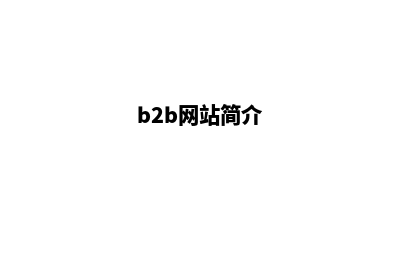 b2b网站建设公司(b2b网站简介)