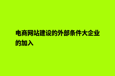 电商网站建设的知识点(电商网站建设的外部条件大企业的加入)