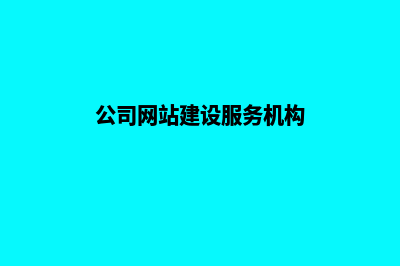 公司网站建设服务(公司网站建设服务机构)