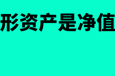 报表中的无形资产数值怎么产生(报表的无形资产是净值还是原值)