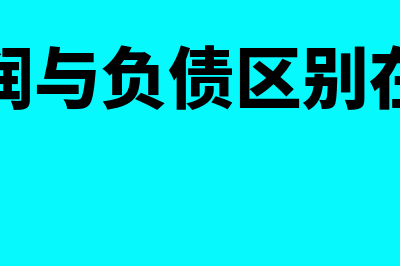 利润与负债区别在哪里(利润与负债区别在于)