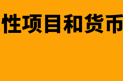 非货币性项目怎么进行期末调整或结算(非货币性项目和货币性项目)