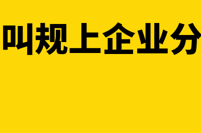 什么叫规上企业(什么叫规上企业分公司)