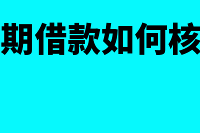 长期借款如何审计(长期借款如何核算)