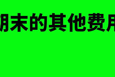 会计期末的其他账项调整不包括什么(会计期末的其他费用包括)