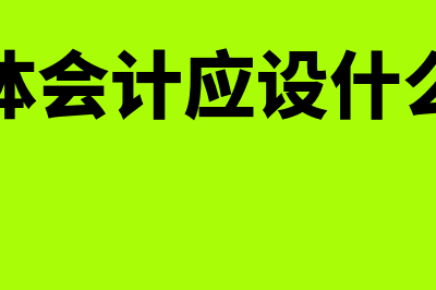 村集体会计应设置的会计科目有哪些(村集体会计应设什么岗位)