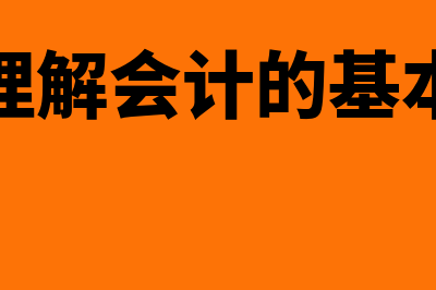 如何理解会计电算化信息系统试运行(如何理解会计的基本概念)