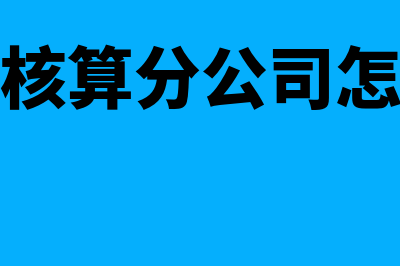 非独立核算分公司如何开票和申报(非独立核算分公司怎么报税)