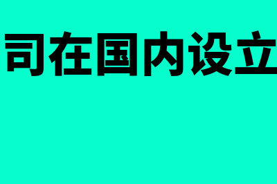 在国外设立分支机构如何确认收入(国外公司在国内设立分公司)