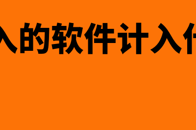 公司购入软件会计分录怎么做(公司购入的软件计入什么科目)