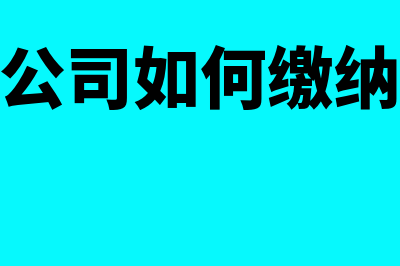 广告公司如何缴纳文化事业建设费(广告公司如何缴纳社保)