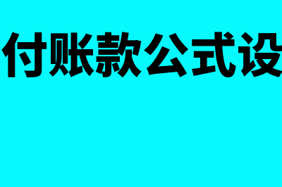 如何设置应付股利明细账(应付账款公式设置)